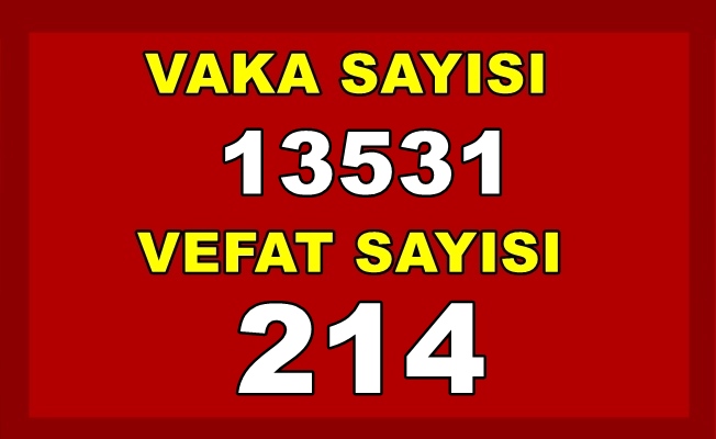 Koronavirüsten ölenlerin sayısı 214'e yükseldi Koronavirüsten ölenlerin sayısı 214'e yükseldi