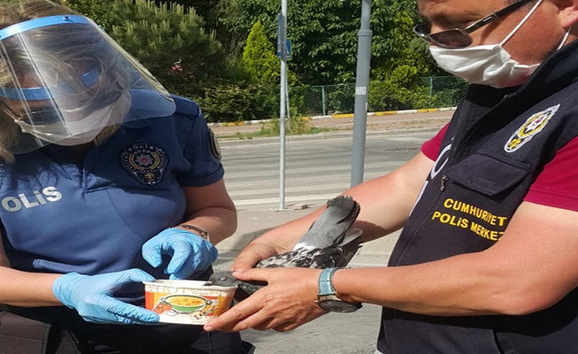 Polislerin Dikkati Özgürlüğüne Kavuşturdu