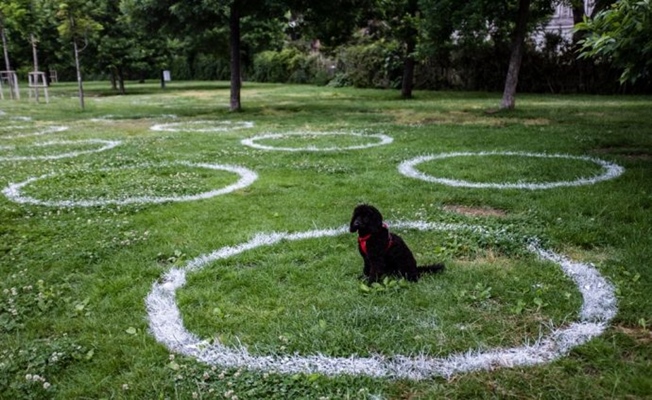 Bakanlık'tan park, piknik alanları ve lokantalara ilişkin genelge