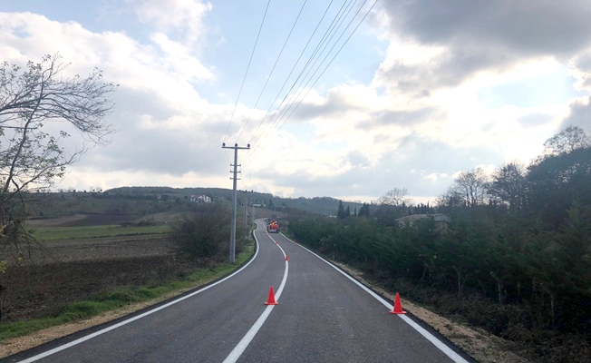 Kocaeli'de   Yollar çevreci boyalar ile boyanıyor