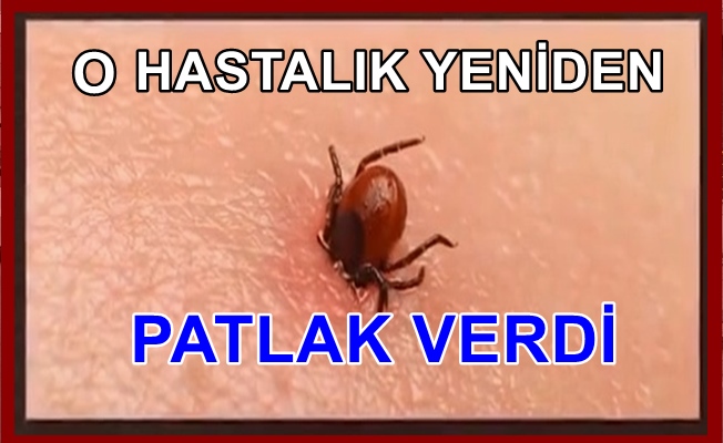 O Hastalık yeniden hortladı!