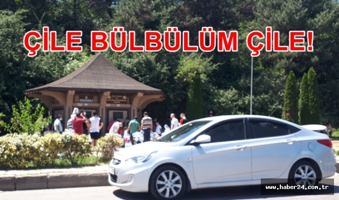 KOCAELİ'DE SUSUZLUK "ÇİLE BÜLBÜLÜM ÇİLE" DEDİRTTİ!