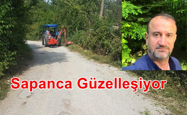 Park Bahçeler Çalışıyor, Sapanca Güzelleşiyor