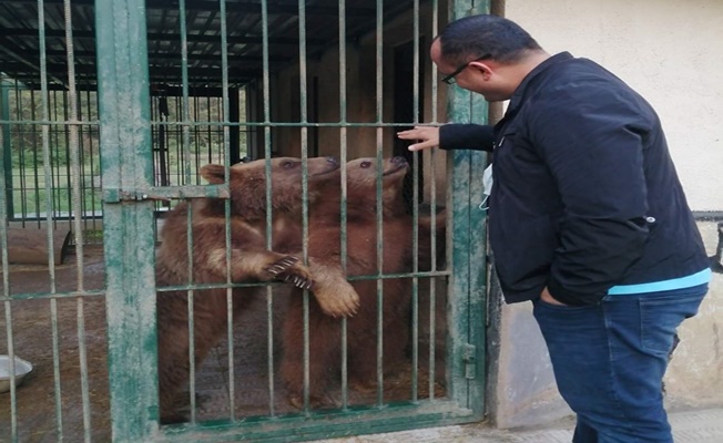 Kaymakamın hayvan sevgisi