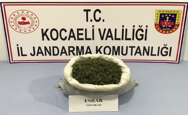 Ormanlık alanda saklanmış esrar ele geçirildi