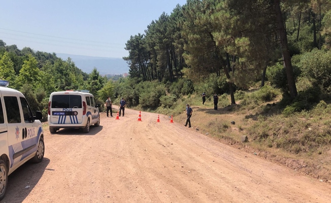 Kocaeli Valisi Yavuz, ormanlarla ilgili alınan yeni yasağı açıkladı!