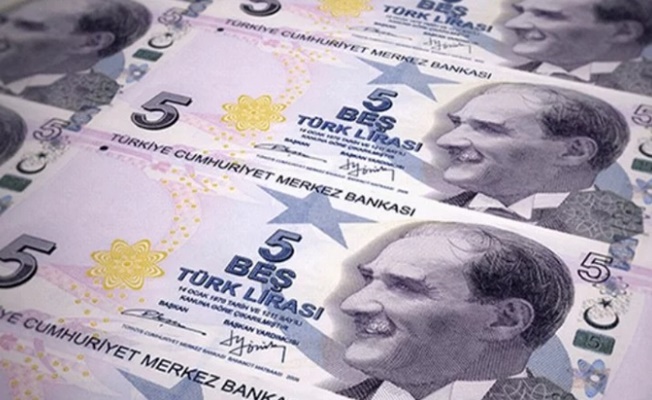 Yeni 5 TL'lik banknotlar tedavüle girdi