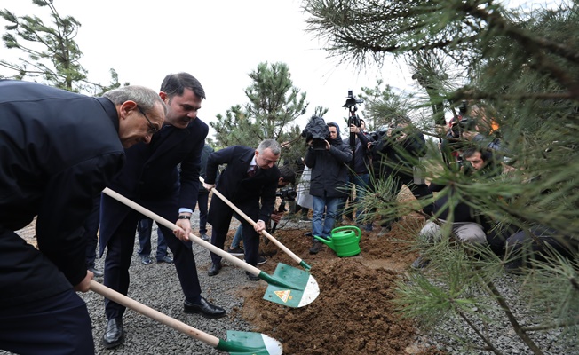 Bakan Kurum, Gebze Millet Bahçesi alanında incelemelerde bulundu