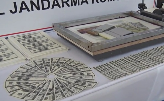 İstanbul'da jandarma operasyonunda sahte 3 milyon dolar ele geçirildi İstanbul'da jandarma operasyonunda sahte 3 milyon dolar ele geçirildi