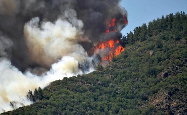 Marmaris'teki orman yangını  kontrol altına alındı