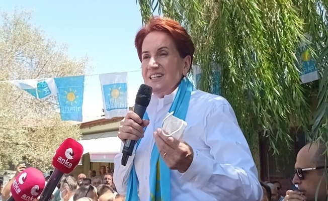 Meral Akşener'i sokak köpeği ısırdı