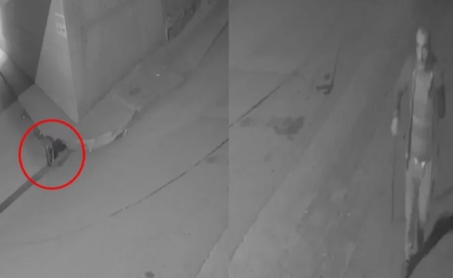 Bursa Gemlik'te mazgal hırsızları kameraya yakalandı