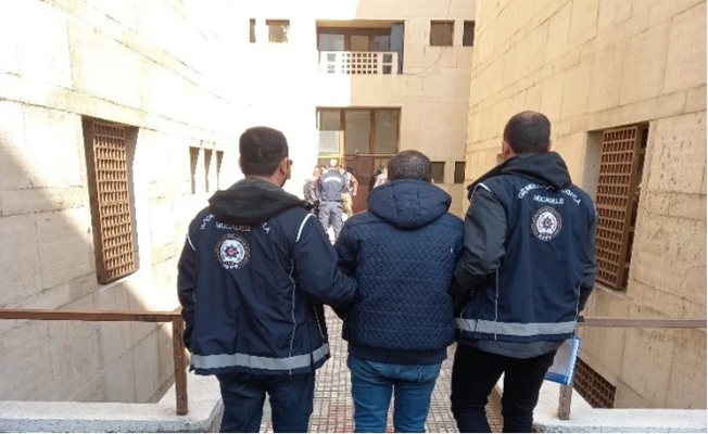 Edirne'de 351 göçmen yakalandı