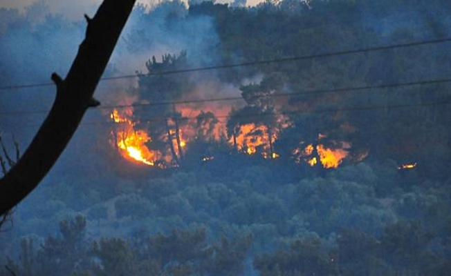Antalya'daki orman yangınında hastane ve evler tahliye edildi!