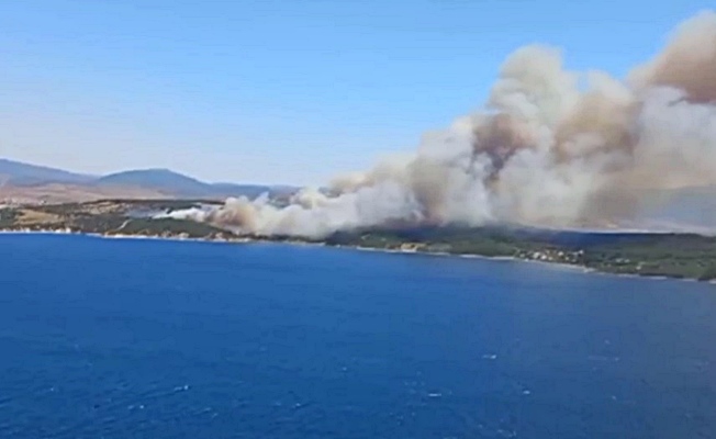 İzmir'de orman yangını!  Yazlıklar tahliye ediliyor
