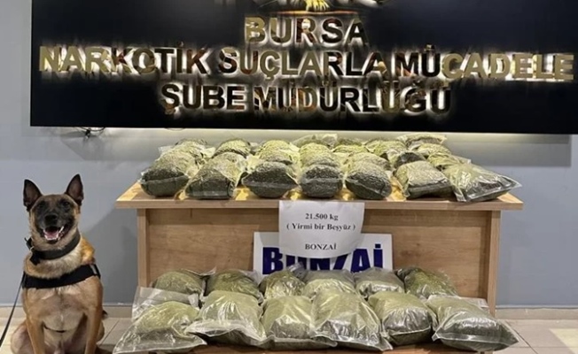 Bursa polisinden uyuşturucu ile mücadelede 188 gözaltı!