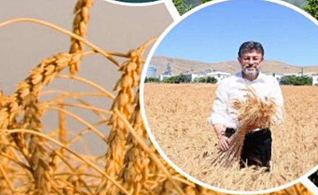 Üretici çiftçiye 11,2 milyar TL'lik destek