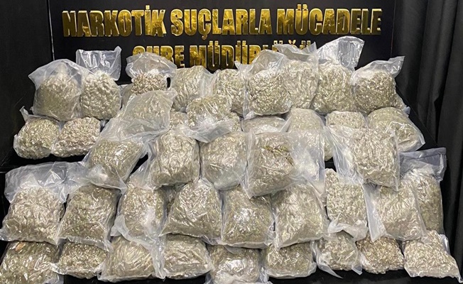 364 zehir taciri yakalandı
