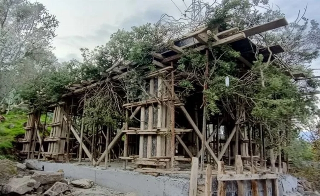 Bodrum'da kaçak inşaatı ağaç dallarıyla gizlemeye çalıştılar