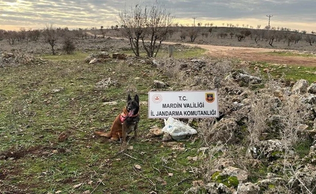 Dargeçit'te 25 kg tuzaklanmış patlayıcı ele geçirildi