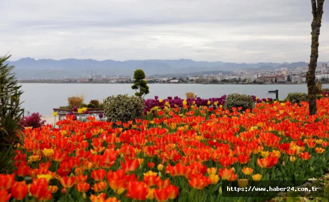 Karadeniz'in incisi Ordu