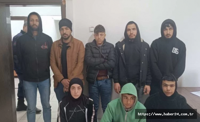 Edirne'de 11 göçmen yakalandı