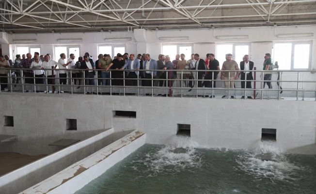 Şanlıurfa'da 100 yıllık içme suyu sorunu çözüldü
