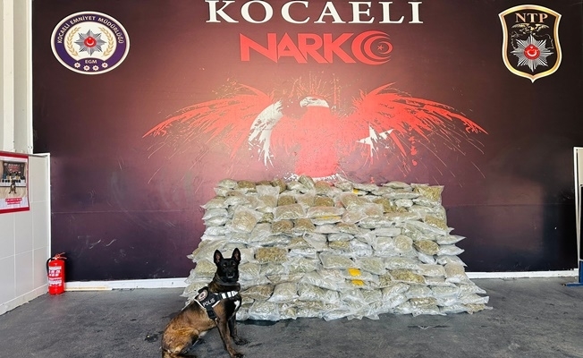 Kocaeli'de TIR'ın dorsesinde uyuşturucu yakalandı