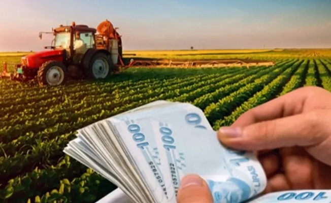 2025 bütçesinde tarıma 706 milyar TL ayrıldı