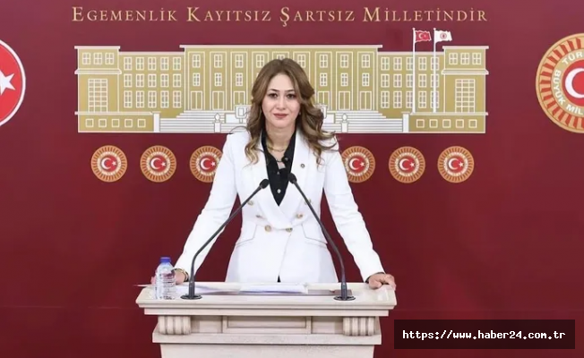 MHP'li Karakoç Dora, Trump ile Zelenskiy görüşmesini değerlendirdi