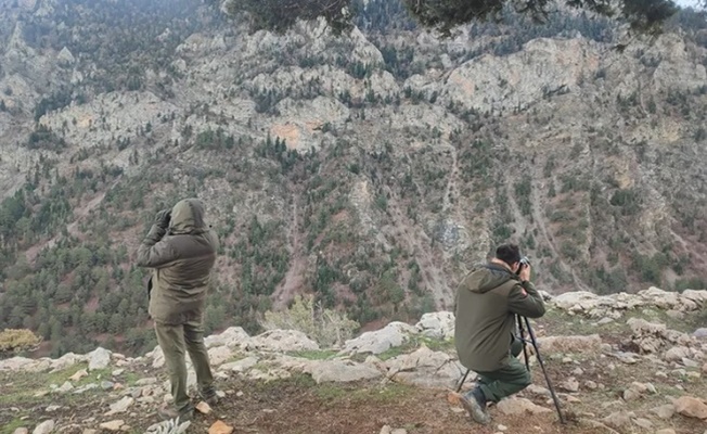 Antalya’da yasadışı avcılığa suçüstü!