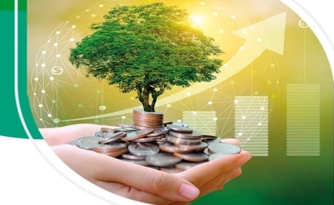BDDK, Yeşil Finansmanı Takibe Alıyor: Bankalar YVO Raporlayacak