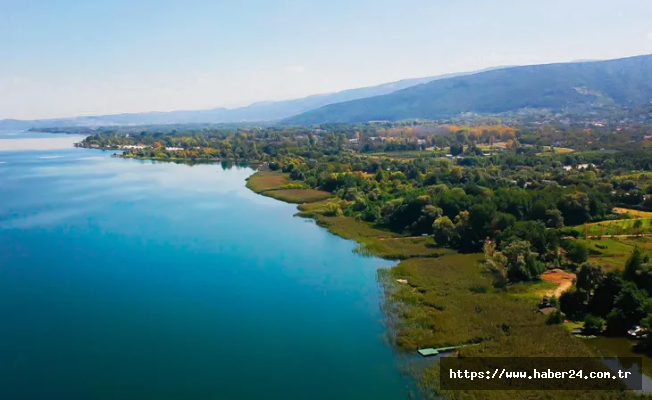 Sapanca Gölü'nden sevindirici gelişme