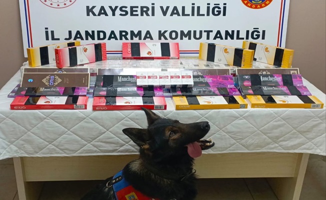 Jandarma'nın durdurduğu araçtan kaçak sigaralar çıktı!