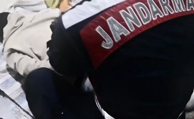 Kırmızı ve Yeşil Bültenle Aranan 2 Suçlu Türkiye’de Yakalandı