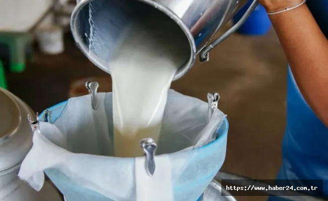Türkiyede süt üretimi yükseliyor! Martta 1 milyon 15 bin ton süt toplandı
