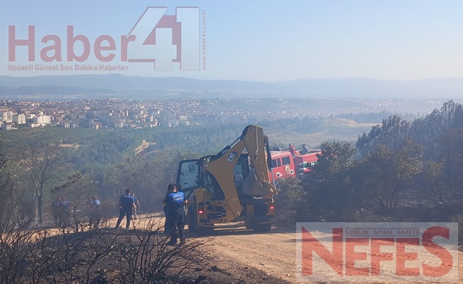 Kocaeli'nin Gebze İlçesinde Orman Yangını Paniğe Yol Açtı!