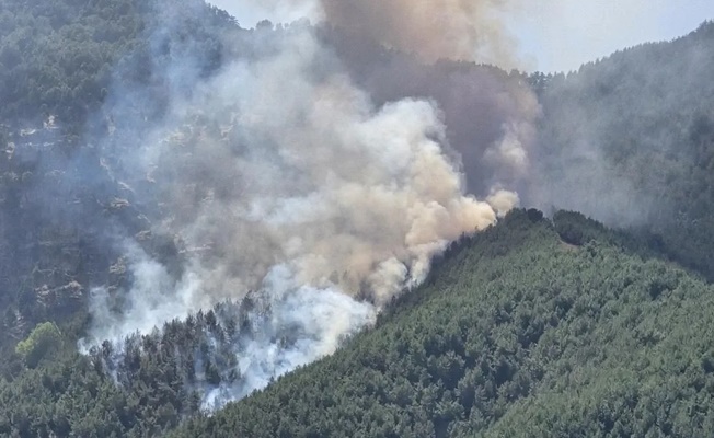 Orman yangınlarına ilişkin soruşturmada 13 kişi tutuklandı