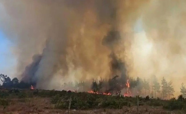 Çanakkale’de orman yangını