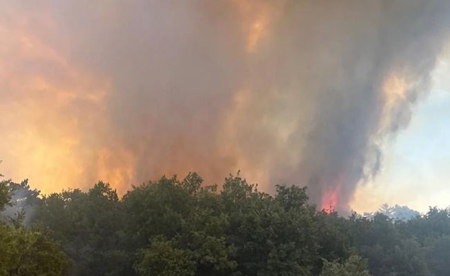 Edirne Keşan'da orman yangını
