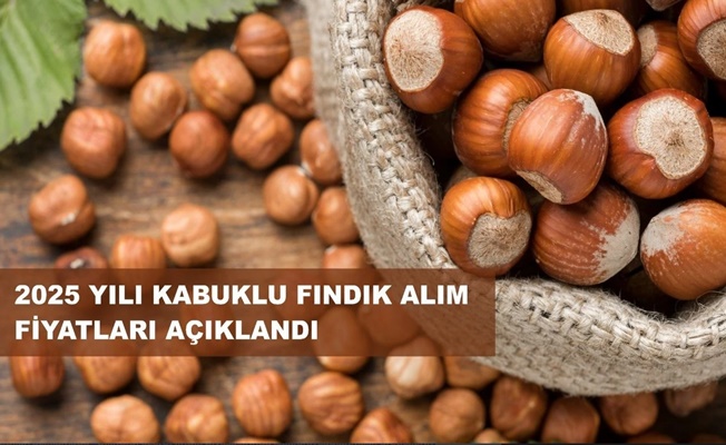 Fındık Taban Fiyatı Açıklandı!