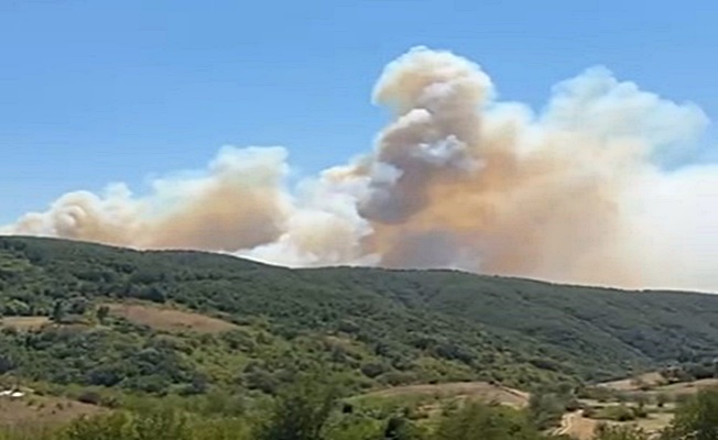 Kocaeli’de Orman Yangını: Valilikten Rüzgar Uyarısı