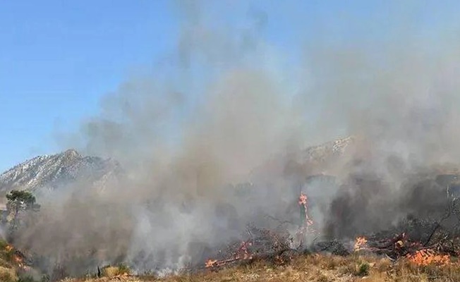 Şırnak’ta  orman ve örtü yangını
