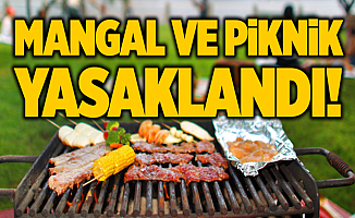 Mesire alanlarında mangal ve piknik yasaklandı!