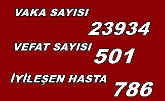 Koronavirüs'ten ölenlerin sayısı  501'e  yükseldi