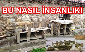 Bunu Yapan İnsan Olamaz!