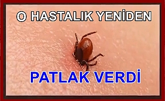 O Hastalık yeniden hortladı!