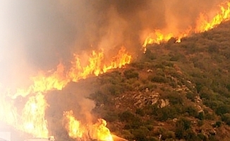 Çanakkale'de orman yangını çıktı!