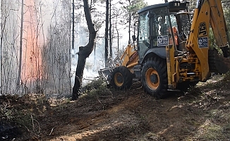 Gebze'de ormanlık alan alev alev yandı!
