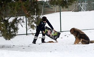 Esenler kışa hazır!